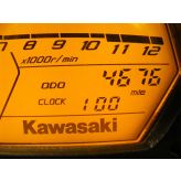 Kawasaki Z 250 Brake Pedal Rear with Spring 2015 to 2018 BR250 Z250 A795